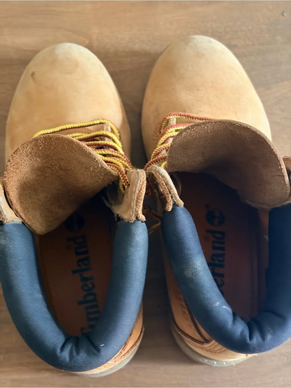 Classic Timberland 6-Inch Waterproof Boots - Wheat / Navy Collar - Size 6